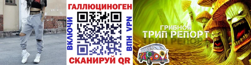 Галлюциногенные грибы MAGIC MUSHROOMS  Ядрин 
